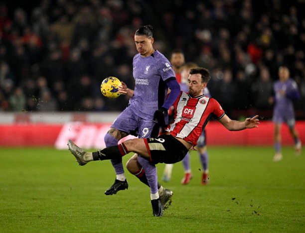 仅加剧了网 仅加剧了网