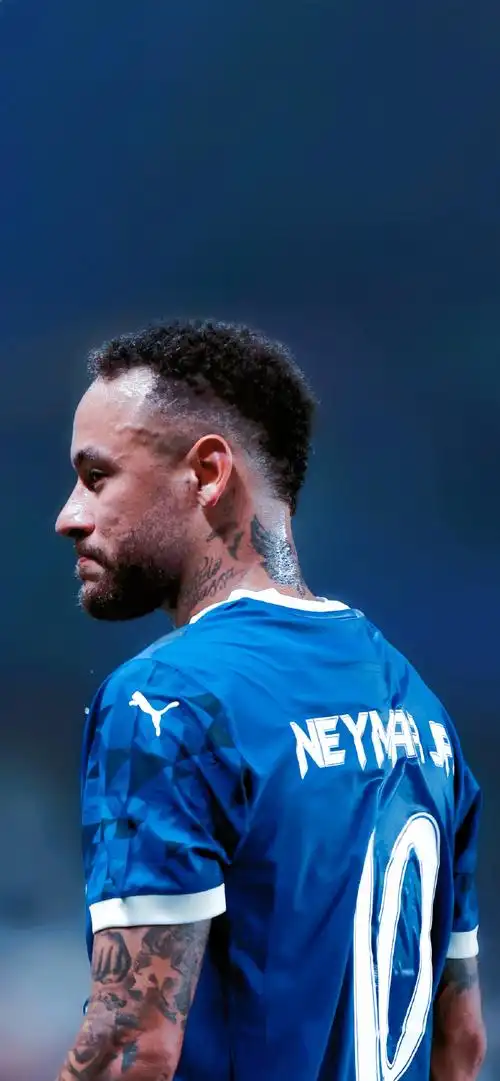 名叫席尔瓦 名叫席尔瓦