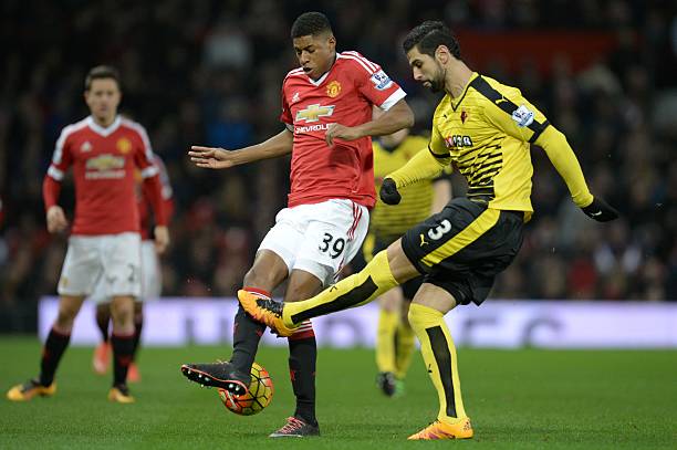 它们还是亚 它们还是亚